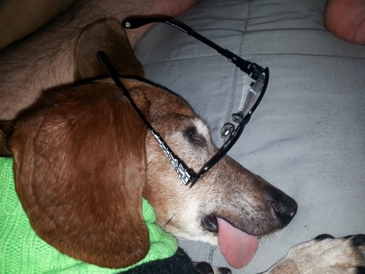 My favorite Poopert pic (mine)