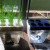 Aquafarm with Wheatgrass by Hackaday. Some Rights Reserved. Aquafarm with Wheatgrass by Hackaday. Some Rights Reserved.