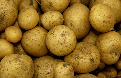 Potatoes