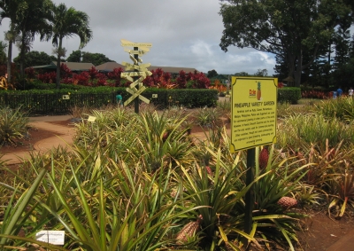Dole Plantation Garden
