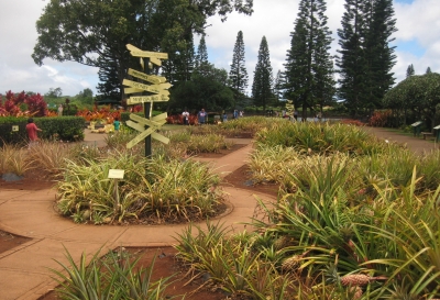 Dole Hawaii