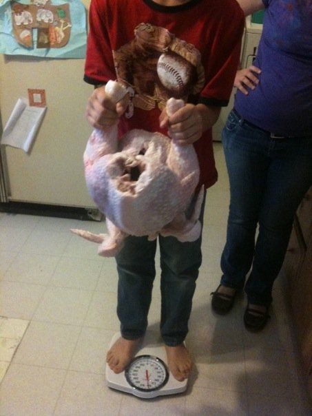 raising baby chicks