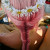 Pretty in Pink Boho Hair : http://classy-bohemian.tumblr.com/post/36521028816 Pretty in Pink Boho Hair : http://classy-bohemian.tumblr.com/post/36521028816