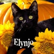 Elynjo profile image