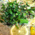 As we were heating the brine, I decided to add some chopped green onion, simply because I had some.