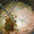 Stir in remaining ingredients, except salt and pepper.