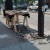 Metal insects at a Whyte Ave intersection