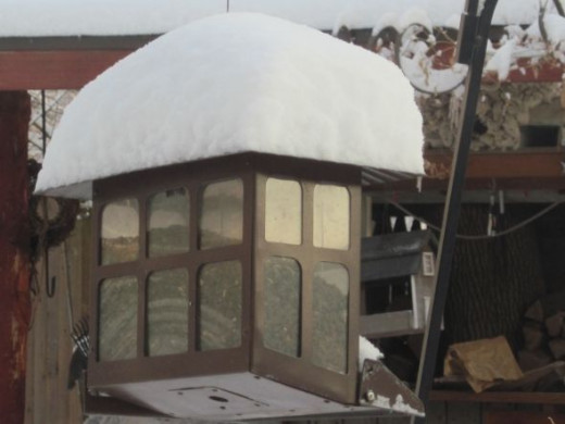 Winter snow is only an inconvenience at this squirrel proof bird feeder.
