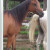 I found some frames and figured out how to write on the photos too. Fun! I found some frames and figured out how to write on the photos too. Fun!