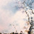 Sentiero: Depicting a hiking trail in one crispy winter morning, with a tree on the right and a red bench in the middle of the painting. Sentiero: Depicting a hiking trail in one crispy winter morning, with a tree on the right and a red bench in the middle of the painting.