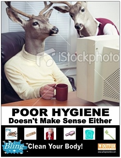 Deer on Computer... Poor Hygiene Doesn't Make Sense Either