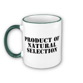 Product of Natural Selection Mug. Darwin's theory of natural selection and evolution challenged many creationist theories.  But was evolution all part of God's plan?