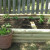 I am attempting to grow some lettuce in the round pot in this picture. It gets warm here in the south very quickly in the springtime, so I am not sure how it will do. The lettuce seed was planted about a month ago. I also planted lettuce seed in the I am attempting to grow some lettuce in the round pot in this picture. It gets warm here in the south very quickly in the springtime, so I am not sure how it will do. The lettuce seed was planted about a month ago. I also planted lettuce seed in the