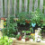 I am trying to save money by reusing cages from last year. I also had some short bamboo stakes that I put on the heirloom tomato plant in the front left corner. I am trying to save money by reusing cages from last year. I also had some short bamboo stakes that I put on the heirloom tomato plant in the front left corner.