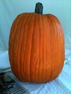 A blank faced pumpkin!