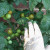 May 28th! Yep, harvest time every day. May 28th! Yep, harvest time every day.